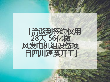 洽谈到签约仅用28天 56亿微风发电机组设备项目四川蓬溪开工