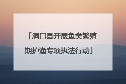 洞口县开展鱼类繁殖期护渔专项执法行动
