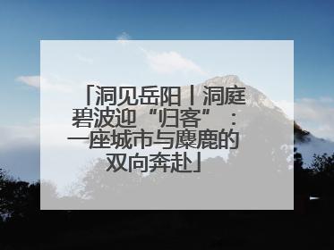 洞见岳阳丨洞庭碧波迎“归客”：一座城市与麋鹿的双向奔赴