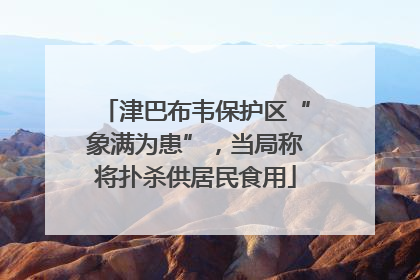 津巴布韦保护区“象满为患”，当局称将扑杀供居民食用