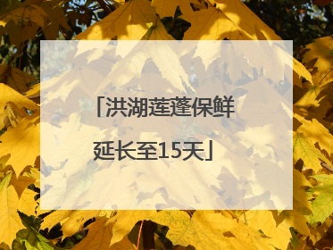 洪湖莲蓬保鲜延长至15天