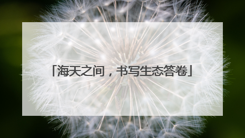 海天之间，书写生态答卷