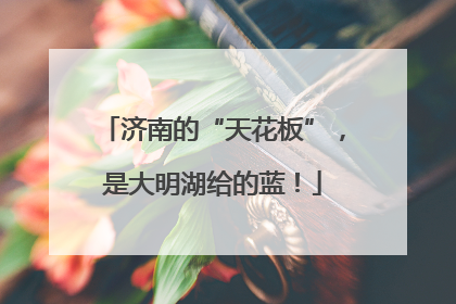 济南的“天花板”，是大明湖给的蓝！