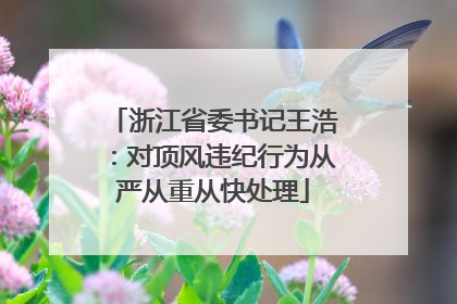 浙江省委书记王浩：对顶风违纪行为从严从重从快处理