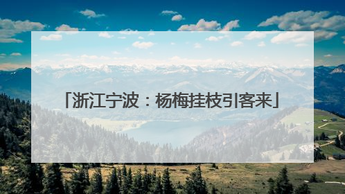 浙江宁波：杨梅挂枝引客来
