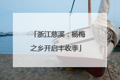 浙江慈溪：杨梅之乡开启丰收季