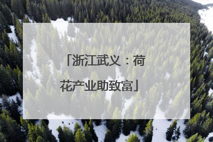 浙江武义：荷花产业助致富
