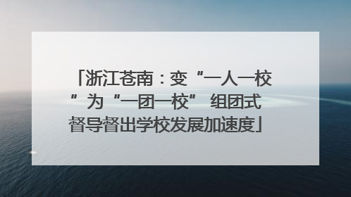 浙江苍南：变“一人一校”为“一团一校” 组团式督导督出学校发展加速度
