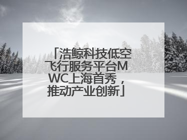 浩鲸科技低空飞行服务平台MWC上海首秀，推动产业创新