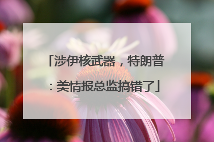涉伊核武器，特朗普：美情报总监搞错了