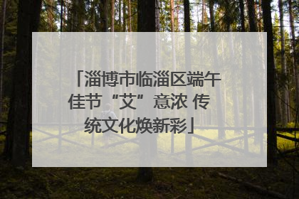 淄博市临淄区端午佳节“艾”意浓 传统文化焕新彩