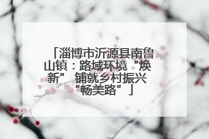 淄博市沂源县南鲁山镇：路域环境“焕新” 铺就乡村振兴“畅美路”