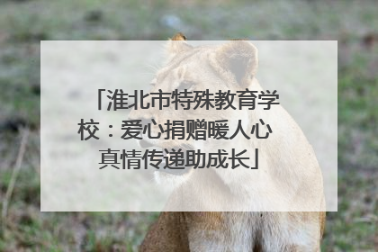 淮北市特殊教育学校：爱心捐赠暖人心 真情传递助成长