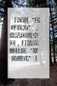 深耕“民呼我为”，盘活闲置空间，打造完整社区“翠苑模式”