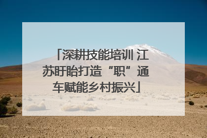 深耕技能培训 江苏盱眙打造“职”通车赋能乡村振兴
