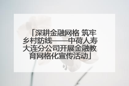 深耕金融网格 筑牢乡村防线——中荷人寿大连分公司开展金融教育网格化宣传活动