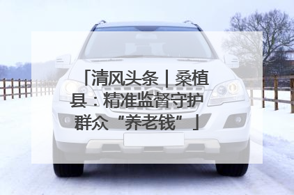 清风头条｜桑植县：精准监督守护群众“养老钱”