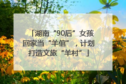 湖南“90后”女孩回家当“羊倌”，计划打造文旅“羊村”