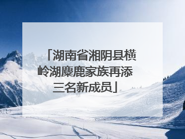 湖南省湘阴县横岭湖麋鹿家族再添三名新成员