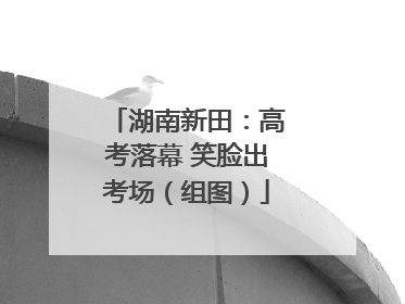 湖南新田：高考落幕 笑脸出考场（组图）