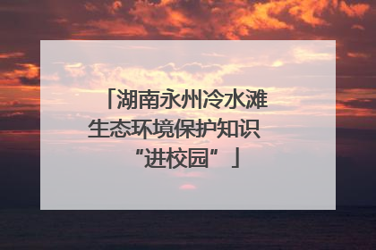 湖南永州冷水滩生态环境保护知识“进校园”
