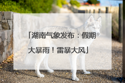 湖南气象发布：假期大暴雨！雷暴大风
