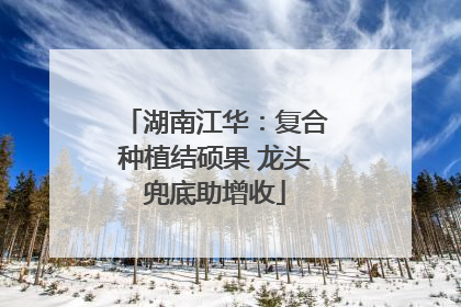 湖南江华：复合种植结硕果 龙头兜底助增收