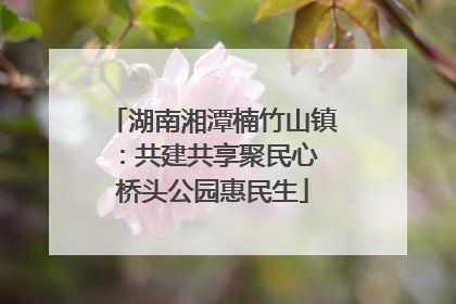 湖南湘潭楠竹山镇：共建共享聚民心 桥头公园惠民生