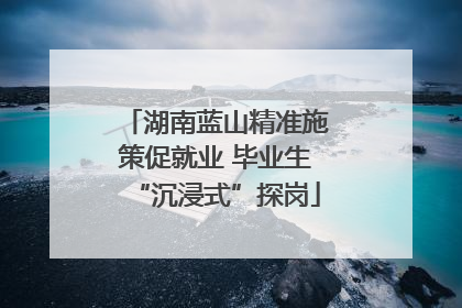 湖南蓝山精准施策促就业 毕业生“沉浸式”探岗