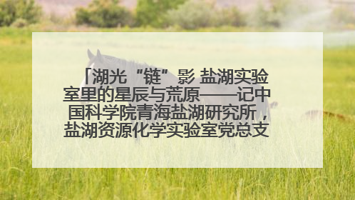 湖光“链”影 盐湖实验室里的星辰与荒原——记中国科学院青海盐湖研究所，盐湖资源化学实验室党总支书记、副主任刘忠