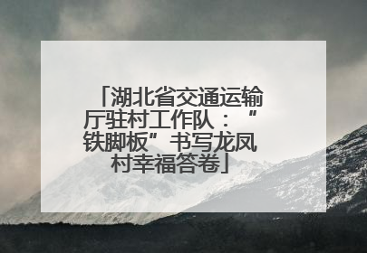 湖北省交通运输厅驻村工作队：“铁脚板”书写龙凤村幸福答卷