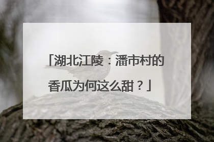 湖北江陵：潘市村的香瓜为何这么甜？