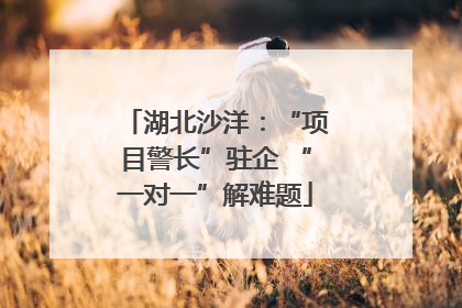 湖北沙洋：“项目警长”驻企 “一对一”解难题