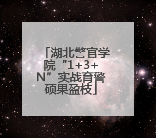 湖北警官学院“1+3+N”实战育警硕果盈枝