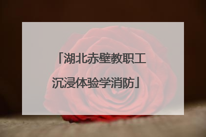 湖北赤壁教职工沉浸体验学消防