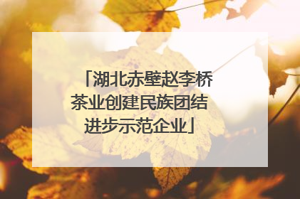 湖北赤壁赵李桥茶业创建民族团结进步示范企业