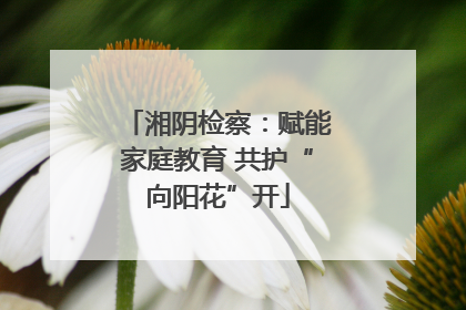 湘阴检察：赋能家庭教育 共护“向阳花”开