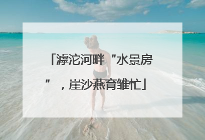 滹沱河畔“水景房”，崖沙燕育雏忙