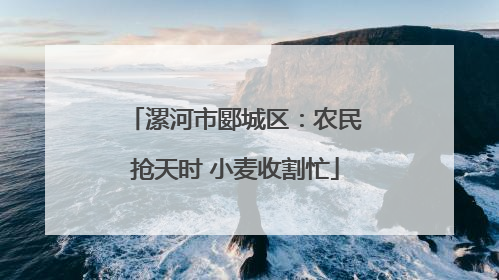 漯河市郾城区：农民抢天时 小麦收割忙