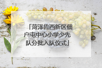 菏泽鲁西新区佃户屯中心小学少先队分批入队仪式