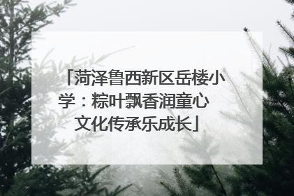 菏泽鲁西新区岳楼小学：粽叶飘香润童心 文化传承乐成长