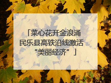 菜心花开金浪涌 民乐县高铁沿线激活“美丽经济”