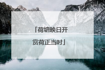 荷塘映日开 赏荷正当时