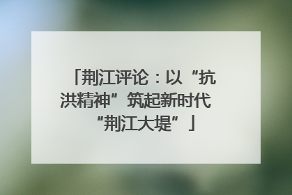 荆江评论：以“抗洪精神”筑起新时代“荆江大堤”
