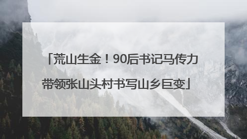荒山生金！90后书记马传力带领张山头村书写山乡巨变