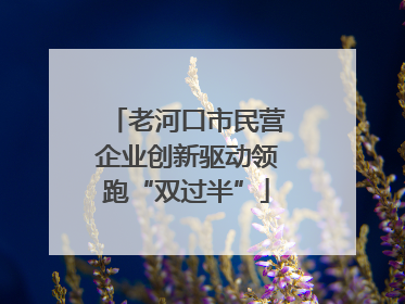 老河口市民营企业创新驱动领跑“双过半”