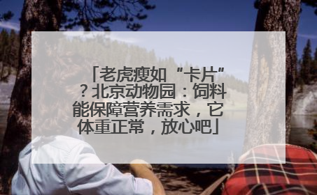 老虎瘦如“卡片”？北京动物园：饲料能保障营养需求，它体重正常，放心吧