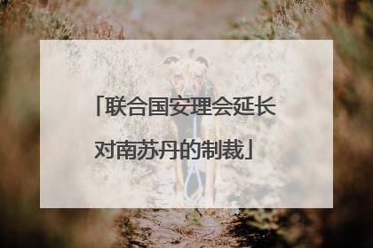 联合国安理会延长对南苏丹的制裁