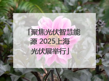 聚焦光伏智慧能源 2025上海光伏展举行