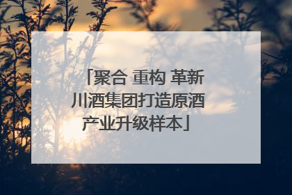 聚合 重构 革新 川酒集团打造原酒产业升级样本